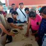 En Guerrero se impulsa a los cafeticultores de la Montaña y Costa Grande como orgullo nacional