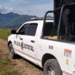 Mantienen acciones de seguridad y vigilancia en la Sierra de Coyuca de Catalán