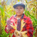 La Sagadegro prioriza la conservación de maíces nativos y el liderazgo de la mujer rural