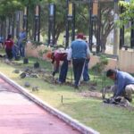 Realiza Propaeg reforestación en el Polideportivo de Chilpancingo 