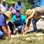 Fortalece Sagadegro capacidades productivas de agricultores de maíz de la región Centro del estado 