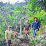 Sagadegro apuesta por mejorar la productividad de Aguacate Hass en la sierra