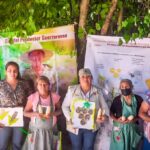 Avanza Sagadegro con el componente de maíces nativos con evaluaciones de rendimiento y mayor producción en el campo