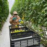 Gobierno de Guerrero fortalece la protección y movilidad laboral de trabajadores agrícolas