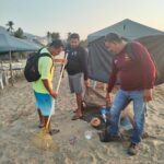 Promotora de Playas de Acapulco realizó labores de limpieza a lo largo de la bahía