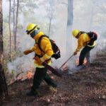 Guerrero refuerza capacitación y tecnología ante temporada de incendios forestales 2026
