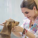 La gobernadora Evelyn Salgado dio a conocer que, el perrito “Canelo” fue rescatado y ya se encuentra a salvo en el refugio Perritos Felices.