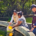 El gobierno estatal fortalece los proyectos acuícolas en comunidades de la Montaña