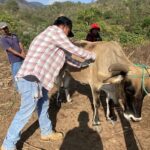 SAGADEGRO llevó a cabo un barrido sanitario, con el objetivo de fortalecer la sanidad animal y prevenir la propagación del gusano barrenador del ganado