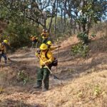 SGIRPCGRO realiza trabajos de prevención de incendios forestales en Guerrero 