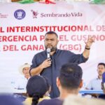 SAGADEGRO intensifica acciones para combatir el gusano barrenador en Acapulco 