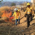 La SGIRPCGRO continúa labores para la prevención de incendios forestales en el estado