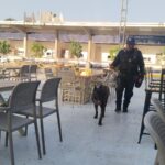 SSP Guerrero mantiene presencia operativa en la Arena GNP Seguros durante el Abierto Mexicano de Tenis 2026 en Acapulco