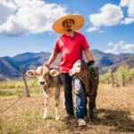 En Guerrero comienzan las primeras nacencias de ganado por inseminación artificial