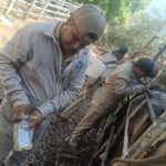 Gobierno del Estado de Guerrero para el combate al gusano barrenador del ganado