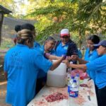 La elaboración y colocación de trampas contra la mosca del gusano barrenador