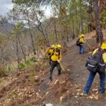 Refuerzan acciones de prevención de incendios con rehabilitación de guardarrayas en Chilpancingo