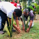 Parque Papagayo prepara megaoperativo de limpieza y reforestación con plantas de ornato