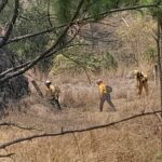 Se atienden de manera coordinada siete incendios forestales en Guerrero  
