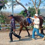Taller “Resignificando mis emociones: el poder de sanar y renacer”