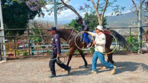 Taller “Resignificando mis emociones: el poder de sanar y renacer”