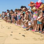 Pequeñas tortugas, grandes recuerdos: infancias viven experiencia única en Acapulco
