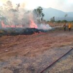 Sofocando incendio forestal en la Autopista del Sol, a la altura del kilómetro 304, pasando el poblado El Ocotito