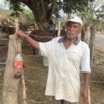 SAGADEGRO informó que, en el municipio de Ometepec, beneficiarios del programa Sembrando Vida