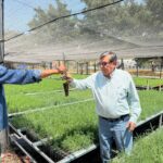 Fortalecen en Guerrero la producción de planta rumbo al ciclo de lluvias 2026