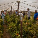 SAGADEGRO impulsa prácticas agroecológicas para fortalecer la producción sustentable