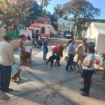 Fortalece SSG Bienestar Animal con Jornadas de Esterilización y Vacunación en Guerrero