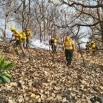 Refuerza la SGIRPCGRO combate a incendios forestales en Guerrero