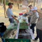 Fortalecen conservación ambiental con limpieza de playas en Pie de la Cuesta 