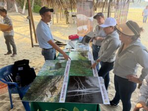 Fortalecen conservación ambiental con limpieza de playas en Pie de la Cuesta 