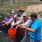 Sagadegro y Sembrando Vida realizan en Omiltemi siembra de trucha arcoíris