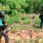 Unidad de la Policía Ecológica de la Secretaría de Seguridad Pública mantienen recorridos de vigilancia en el Parque Nacional El Veladero