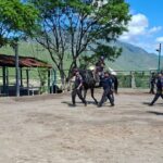 La SSP Guerrero cuenta con el Campo de Desarrollo Técnico de la Policía Montada, donde personal capacitado desarrolla actividades de Zooterapia
