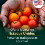 Abren convocatoria para jornaleros de Guerrero que buscan trabajar legalmente en Estados Unidos: STyPS