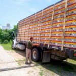 Sagadegro mantiene vigilancia sanitaria para proteger la sanidad pecuaria en Guerrero