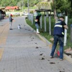 SEMAREN impulsa Jornada Comunitaria “Transformando Guerrero” en Xocomanatlán para mejorar espacios públicos