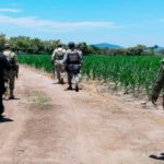 Recorridos coordinados que realizan elementos de la Policía Estatal, el Ejército Mexicano y la Guardia Nacional en localidades del municipio de Pilcaya