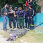 Fortalece SEMAREN capacitación para atender reportes de cocodrilos en algunas zonas del estado