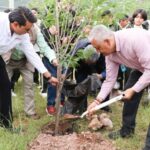 La SEG impulsa la educación ambiental con el programa “Regresa a clases con un árbol” 